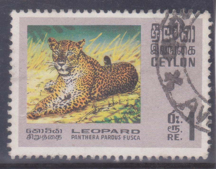 Briefmarke mit Tiger
